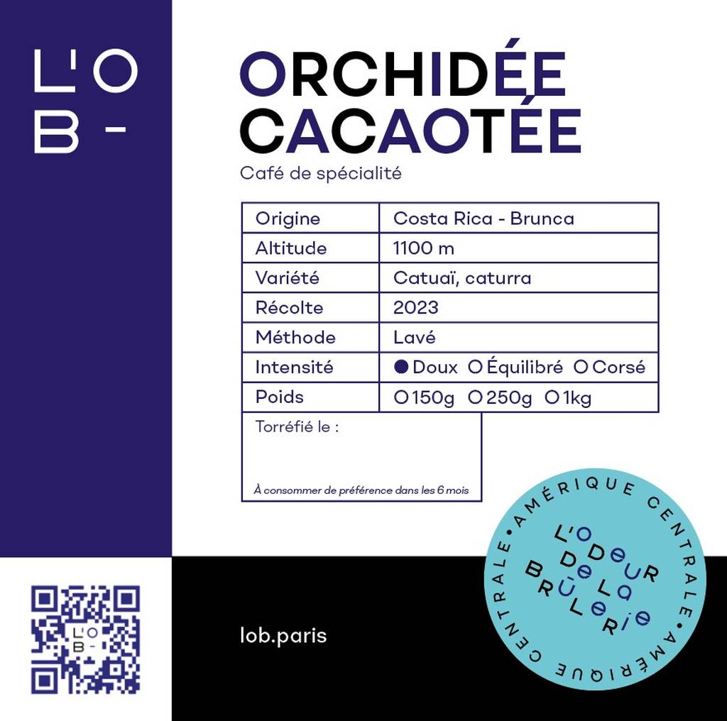 Orchidée cacaotée