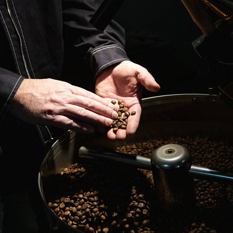 L'Odeur de la Brûlerie - LOB - Thomas contrôle les grains après torréfaction
