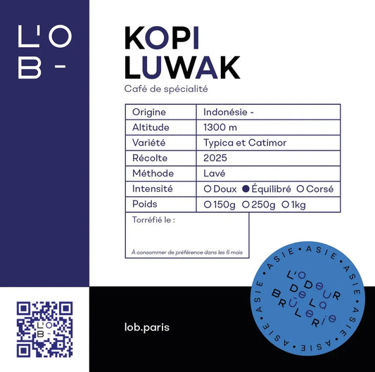 Kopi Luwak d'Indonésie