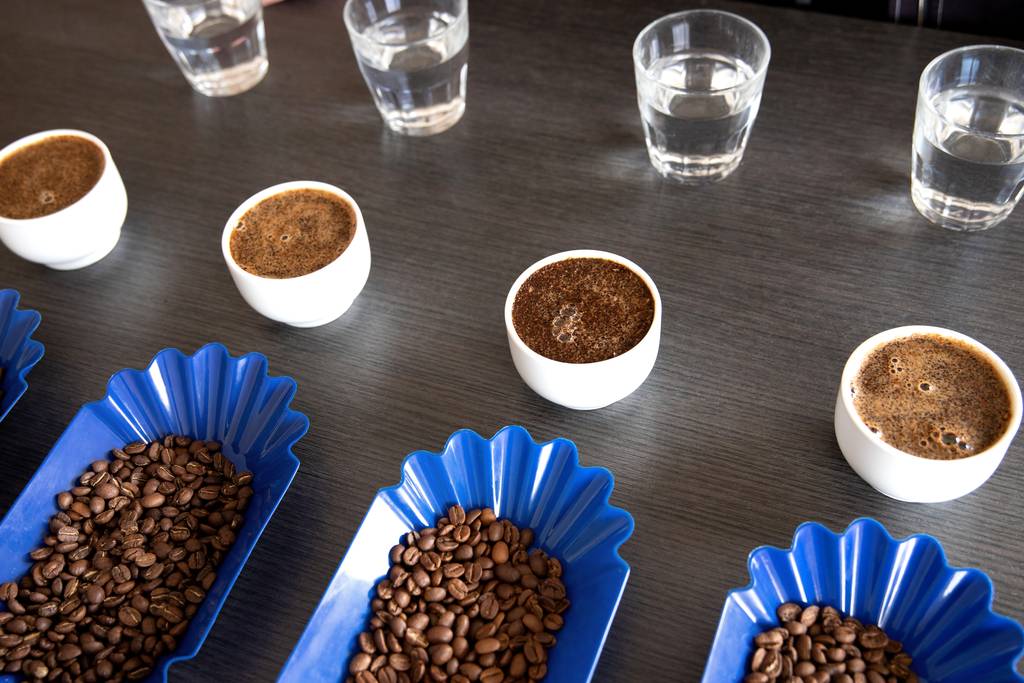 Explorer les Saveurs du Café de spécialité : Atelier de dégustation