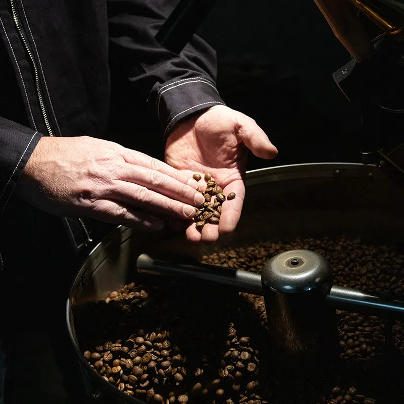 L'Odeur de la Brûlerie - LOB - Thomas contrôle les grains après torréfaction