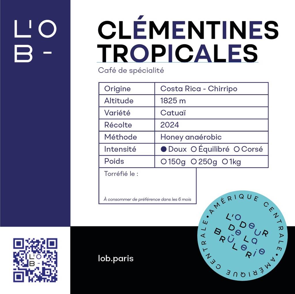 Clémentines tropicales