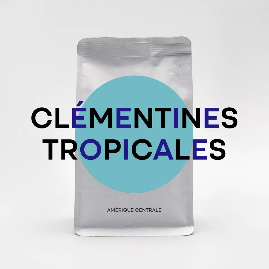 Clémentines tropicales