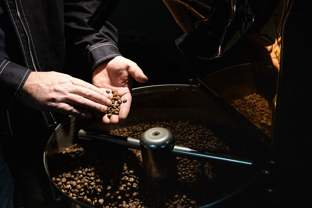 Café de spécialité vs café commercial : 5 différences essentielles à connaître
