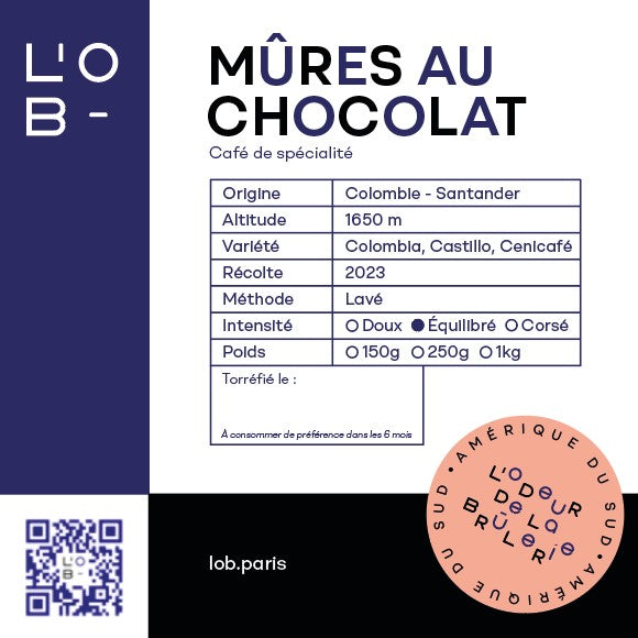 Mûres au Chocolat